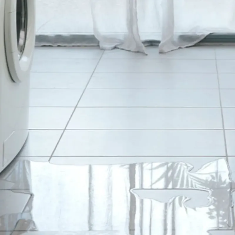 Appliance Leak Cleanup in Las Vegas, NM