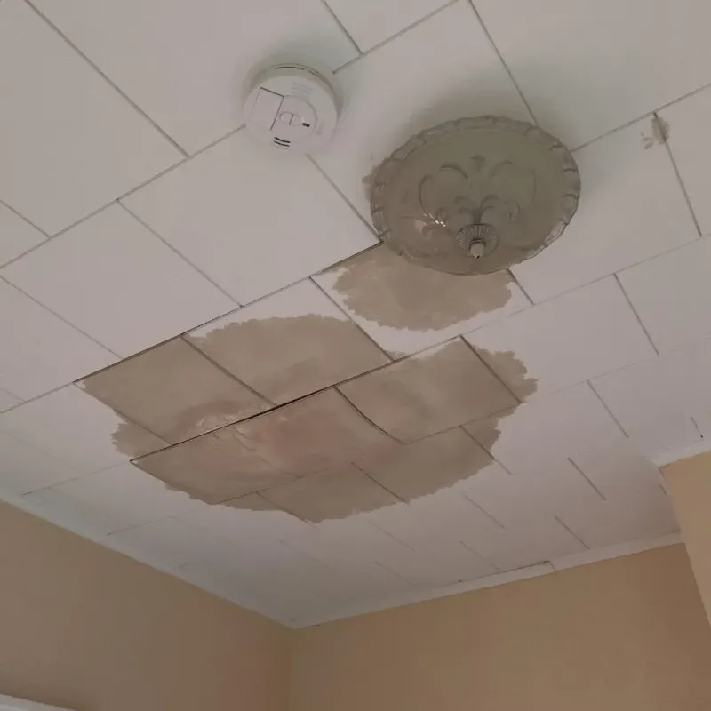 Ceiling Water Damage Repair in Las Vegas, NM